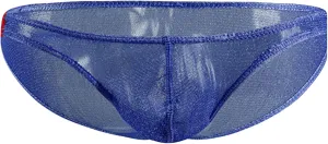 JEsilunmaMY Men's Mesh Bikini Briefs Low Rise See Through Bulge Pouch Underwear Transparent Breathable Sexy Panties Swimwear